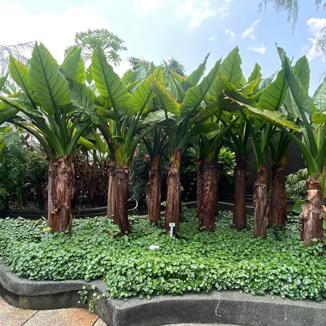 The secret garden in One Utama mall