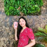 ต้นน้ำคาเฟ่ (Tonnum Cafe)
