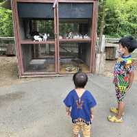 ดูบัว คาเฟ่ เพลินกับสัตว์มากมาย