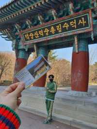 예산여행 필수코스는 한옥감성으로 즐겨요🤎