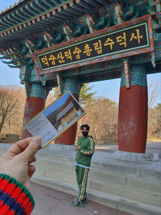 예산여행 필수코스는 한옥감성으로 즐겨요🤎
