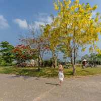 ที่พักน่ารักๆ ที่วังน้ำเขียว มีรถบ้านด้วย 🌳
