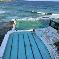 The famous Bondi Icebergs