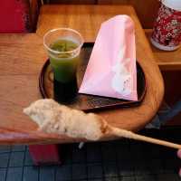 淺草、隅田公園🌸、晴空塔散策