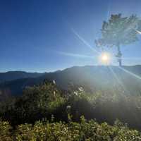 Catching the Sunrise at Alishan
