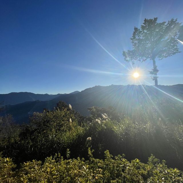 Catching the Sunrise at Alishan