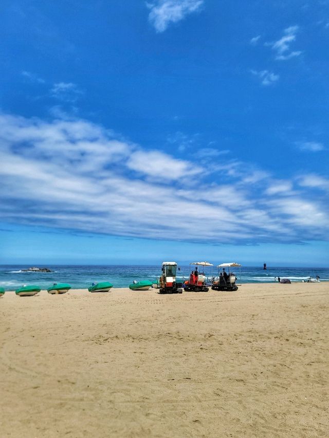 동해안 최대 해변은 바로 여기! 경포해변🏖