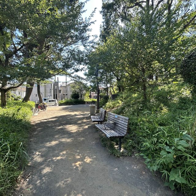 世田谷城址公園 世田谷城址公園