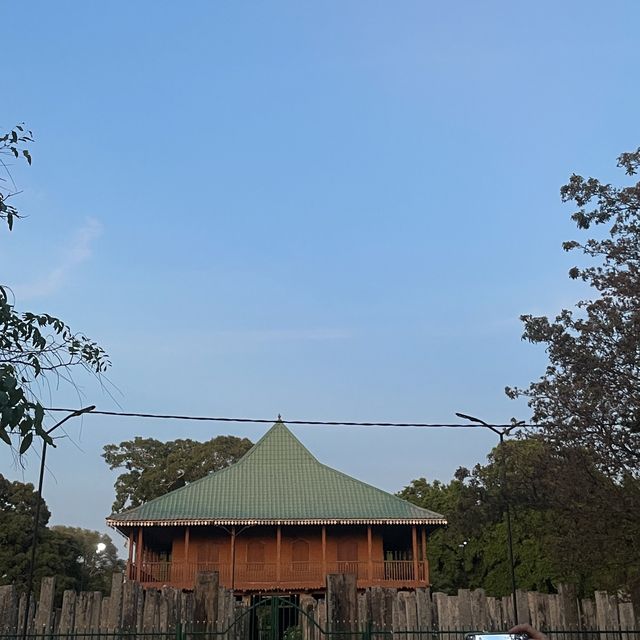 Sri maha bodhi