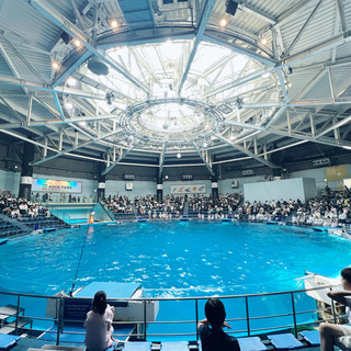 「品川プリンスホテルのしながわ水族館は夏の最高の屋内アクティビティ！」