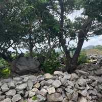 【沖縄】世界遺産！今帰仁城跡