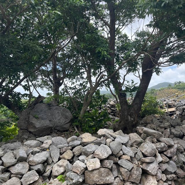 【沖縄】世界遺産！今帰仁城跡
