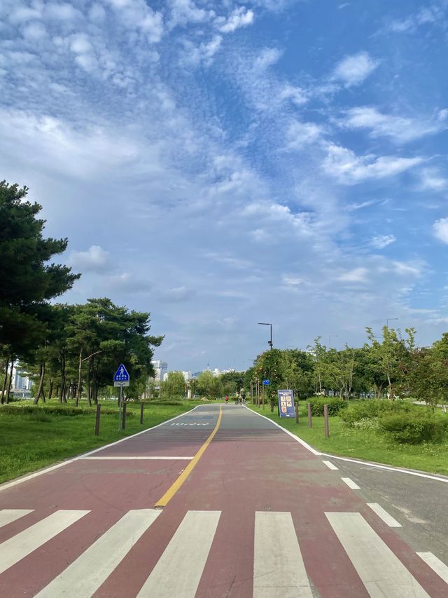 서울에서 여유로움을 느낄 수 있는 양화한강공원🚲🖤