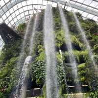 [Explore Singapore] Gardens of Your Dreams