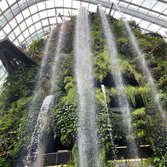 [Explore Singapore] Gardens of Your Dreams