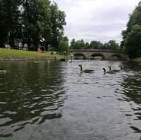A Fascinating Journey through History and Academia: Exploring Cambridge's Museums, King's College, and the Picturesque River