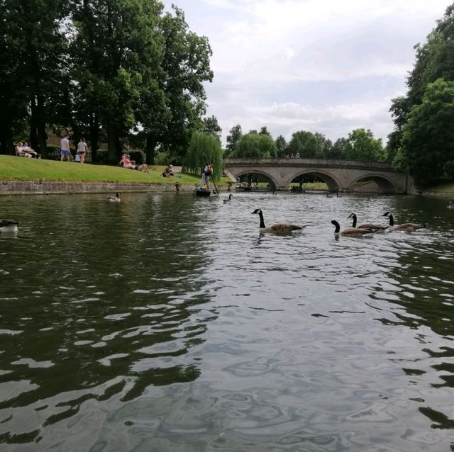 A Fascinating Journey through History and Academia: Exploring Cambridge's Museums, King's College, and the Picturesque River