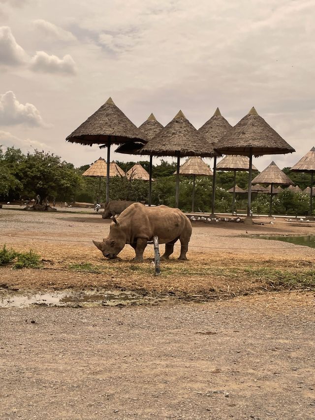 親子野生動物園之旅