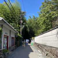 嵐山竹林の小径（ちくりんのこみち）京都の人気観光スポット