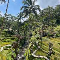 The Majestic Alas Harum Bali 