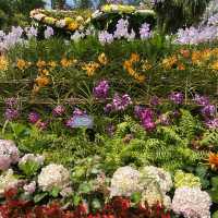 Royal Floria Putrajaya 🌺