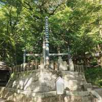 Autumn walk through Dazaifu