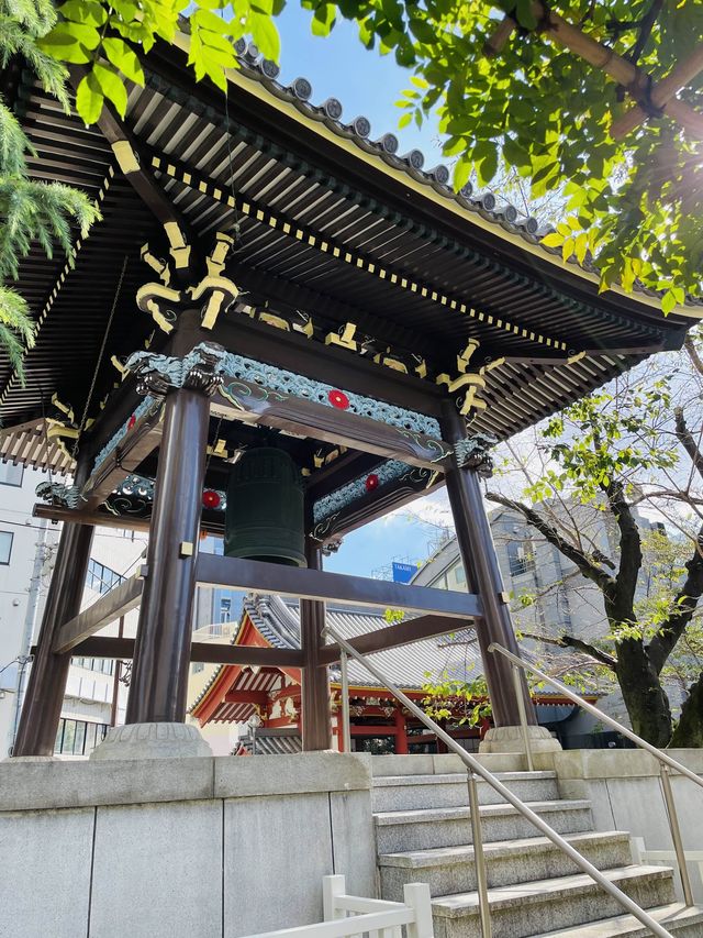 【東京都/南命山 善光寺】信州・善光寺を青山で見る