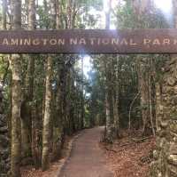 Healthy tour in Lamington National Park 