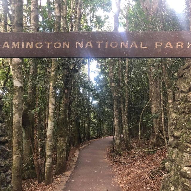 Healthy tour in Lamington National Park 