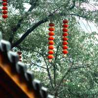 法光寺 🏯靈性與寧靜🙏✨