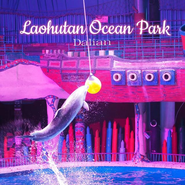 อควาเรียมที่เมืองต้าเหลียน Laohutan Ocearn Park