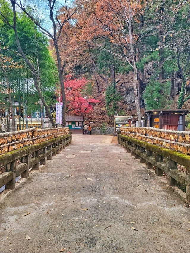 한적하게 거닐기 좋은 아름다운 홍룡사🍂