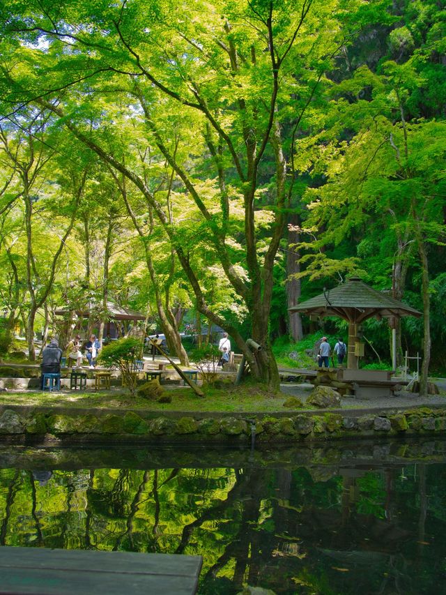 【宮崎】息を飲む美しさ✨マイナスイオンと涼を感じる絶景スポットを紹介🔍　※超攻略情報付き