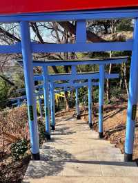 【足利】カラフルな七色の鳥居がある足利織姫神社