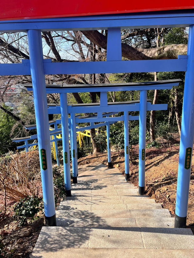 【足利】カラフルな七色の鳥居がある足利織姫神社