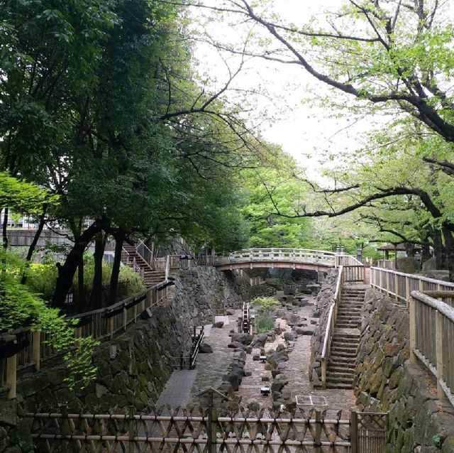 賞櫻名所 飛鳥山公園🌸