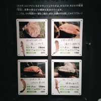 京都水族館といえばオオサンショウウオ