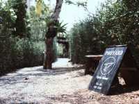 🍃 PHOYARD Cafe  
