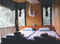 บ้านต้นไม้แม่แมะ Tree House Hideaway