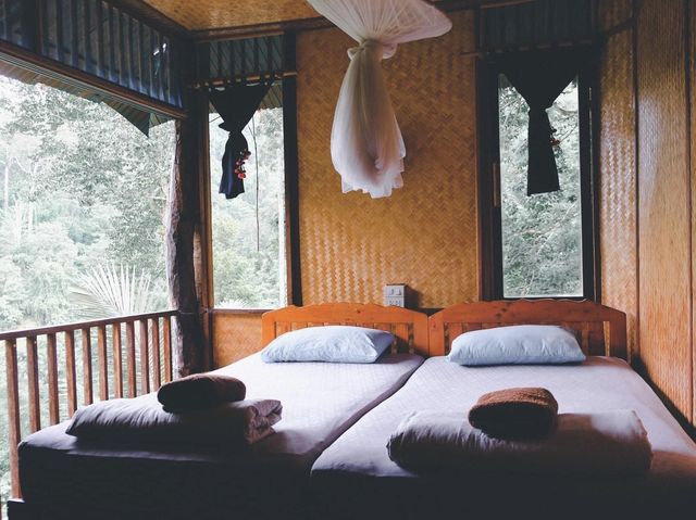 บ้านต้นไม้แม่แมะ Tree House Hideaway