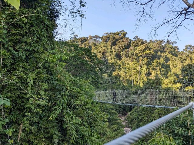 A day trip to Nampien Yolapa