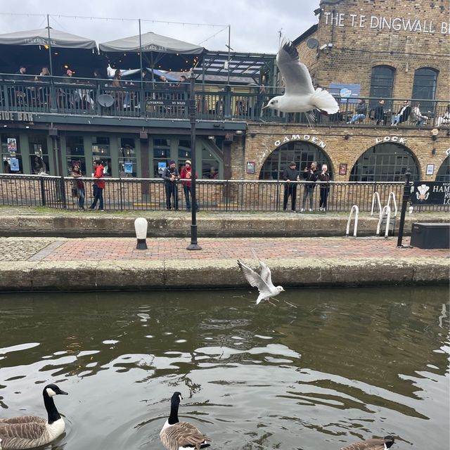 倫敦Camden Market文青好去處