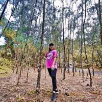 Mayon Black Lava Zipline Adventure