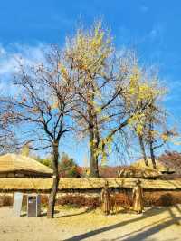 춘향제가 열리는 아름다운 한국의 정원, 광한루원🌳