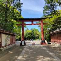 歴史ある都会のオアシス 大宮氷川神社