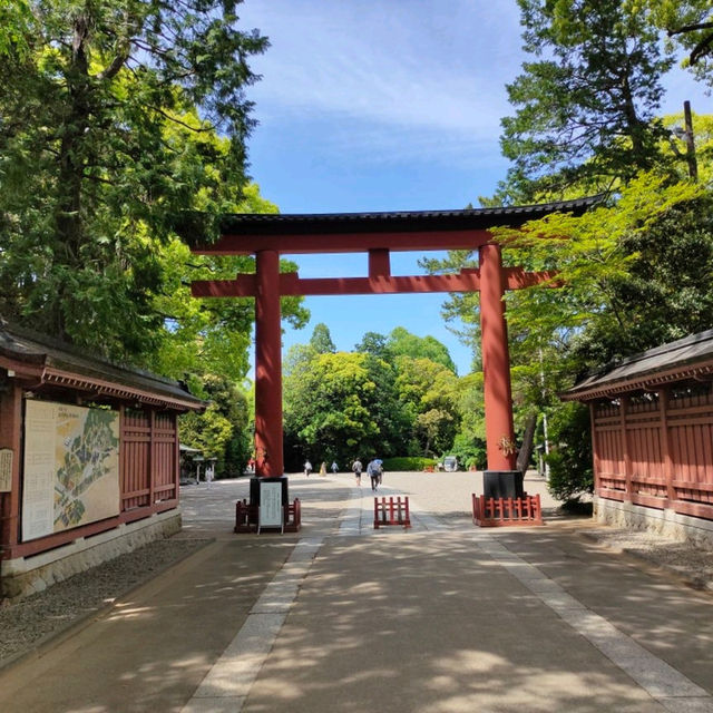 歴史ある都会のオアシス 大宮氷川神社