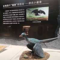 打卡深圳歷史民俗館化石展☞重返白堊紀