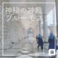 【神秘の神殿 🕌 ブルーモスク】