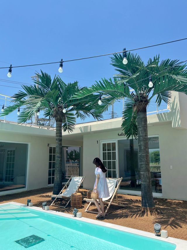 평택 핫한 휴양지 느낌의 감성 카페 할로하우디 🏝️