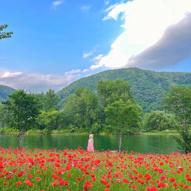 봄꽃놀이 요기 가면 다 있어요😘💓